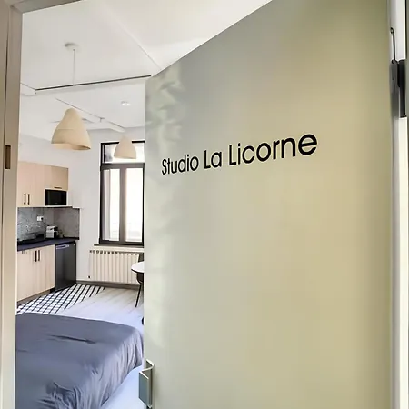 La Licorne, Grand Studio Chaleureux Amiens Exterior foto